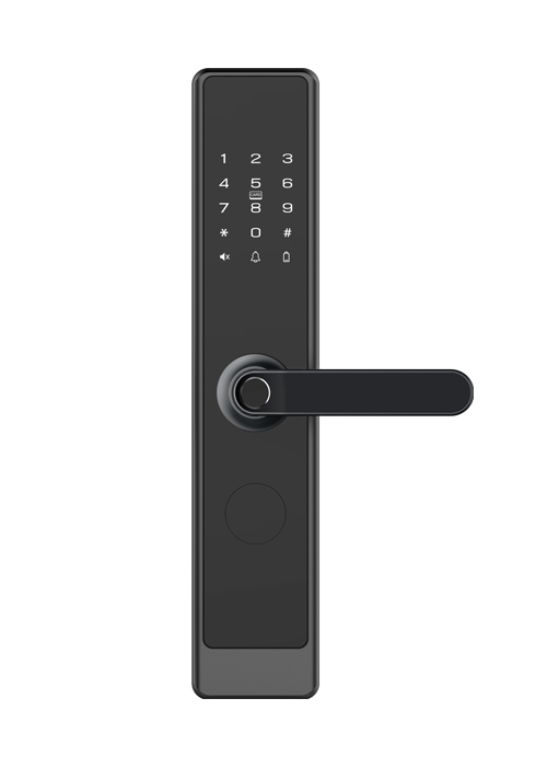 HDLE-M61