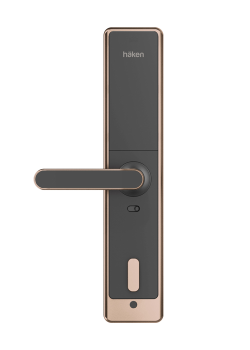 HDLE-M61